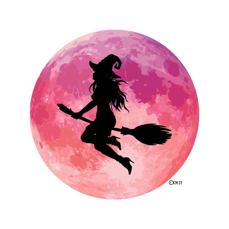 Pink Moon Night Flight Silhouette