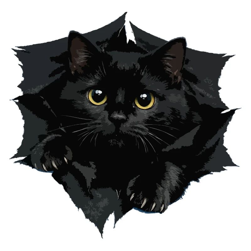 Chat noir par Tranchant