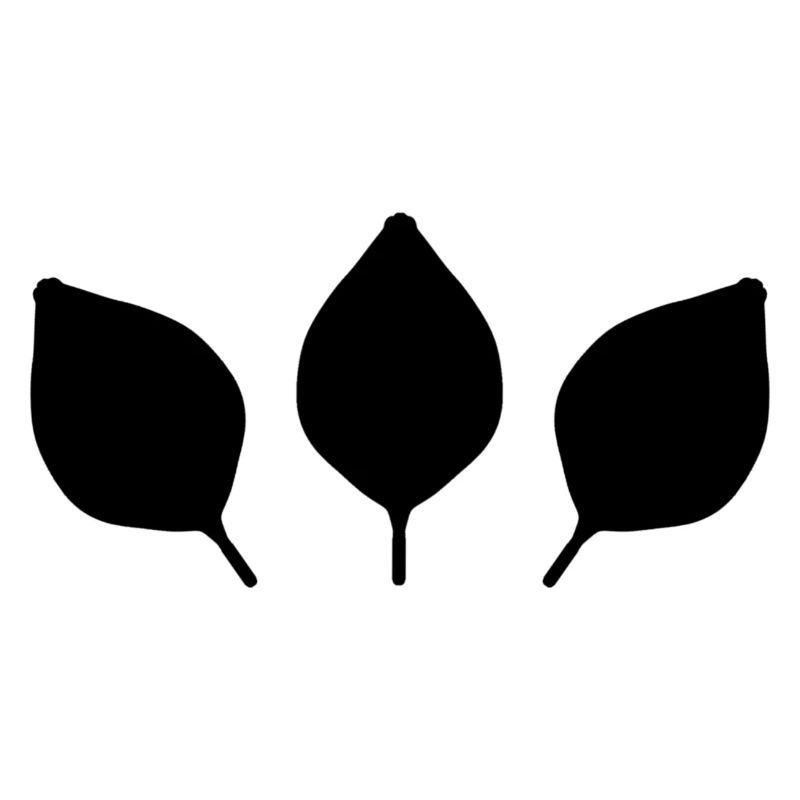 plants nature three leaves leaf green