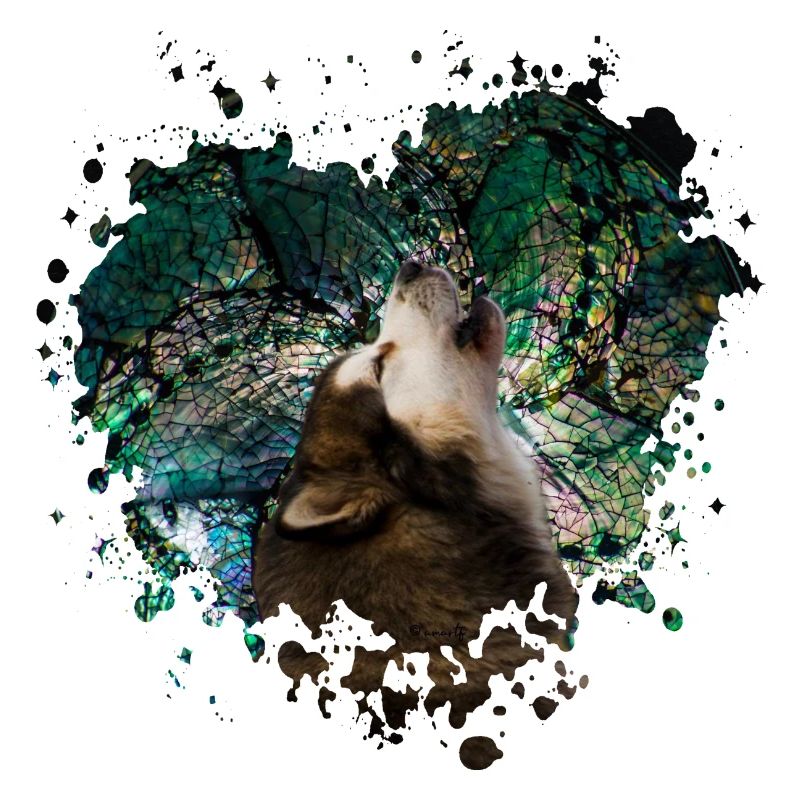 Howling malamute