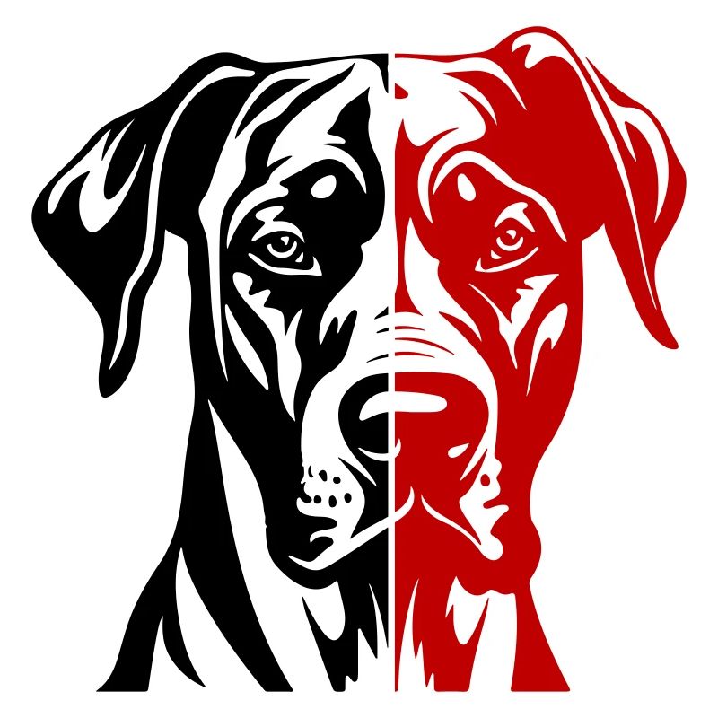 Great Dane Hund Kopf