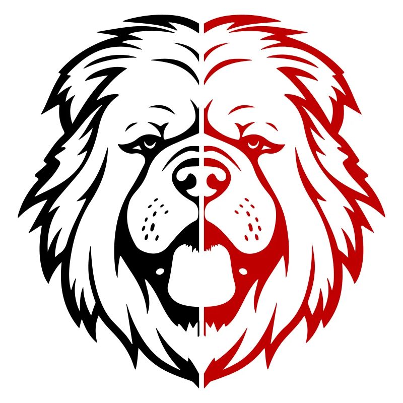 Tête de chien Chow Chow