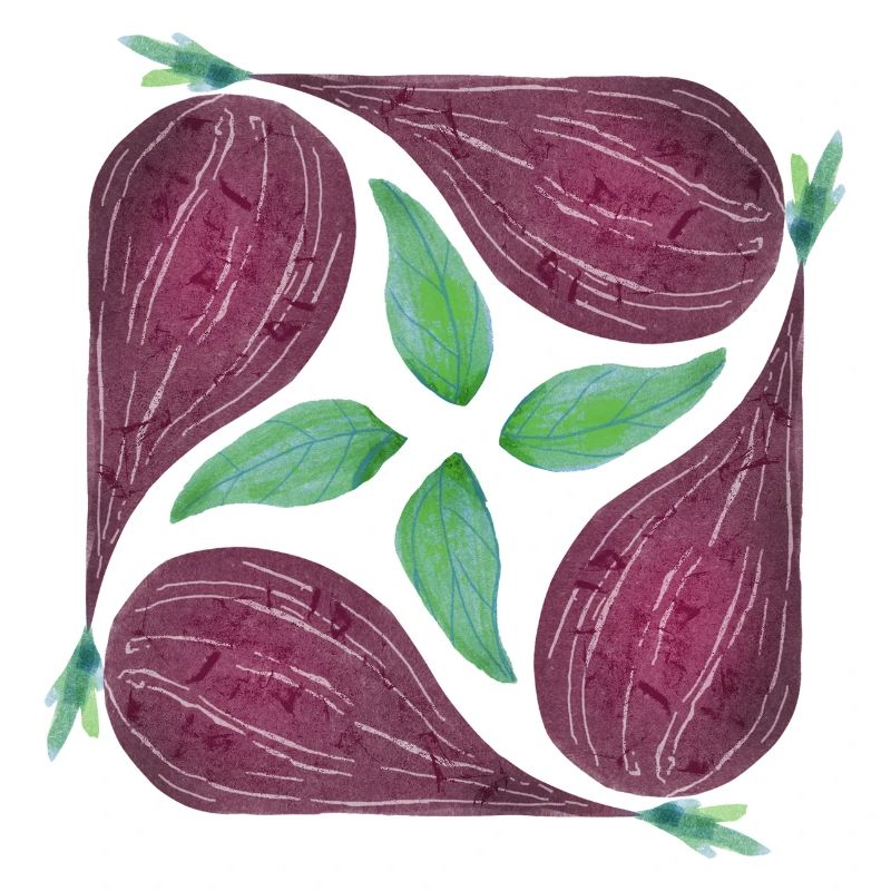 Red Onion Pattern