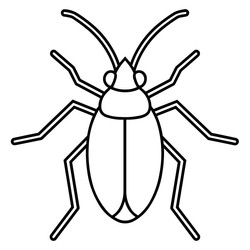 Aphid