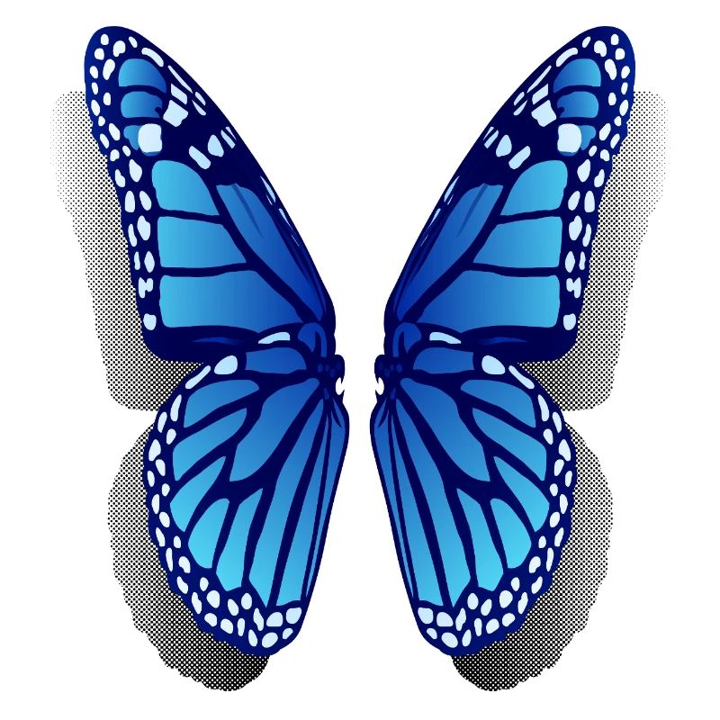 Ailes de papillon Monarc