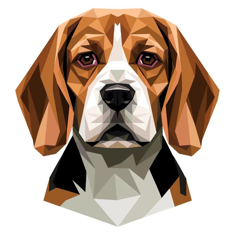 Beagle Chiot Beagles Mignon Chien Beagle anglais