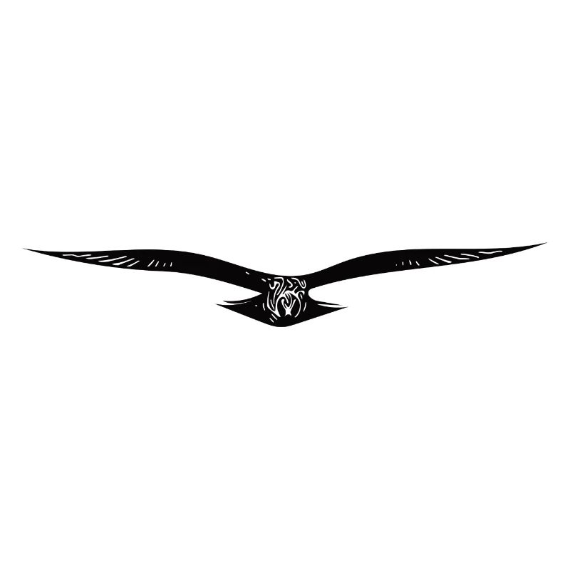 Aigle volant élégant