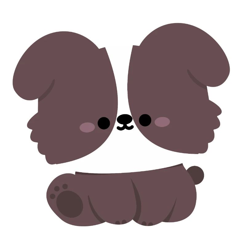 Cute Border Collie