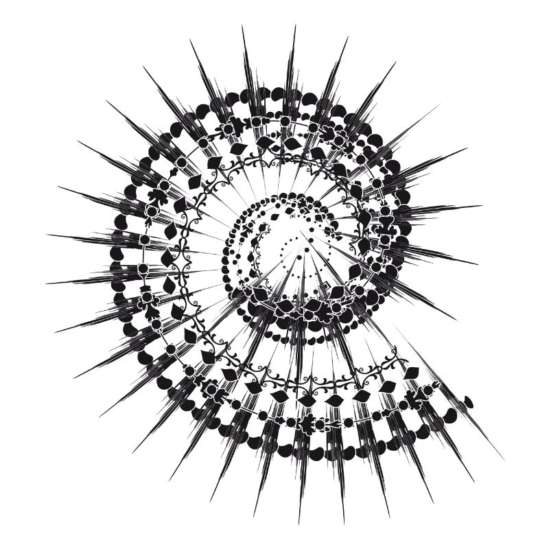 Shell shape snail in black and white