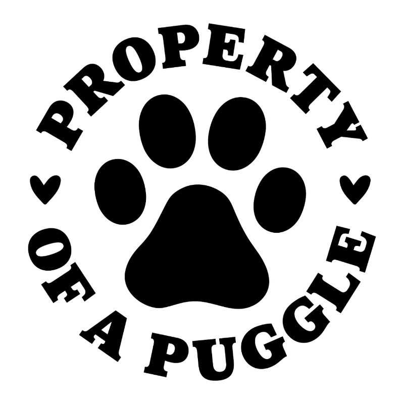 Propriété d’un Puggle