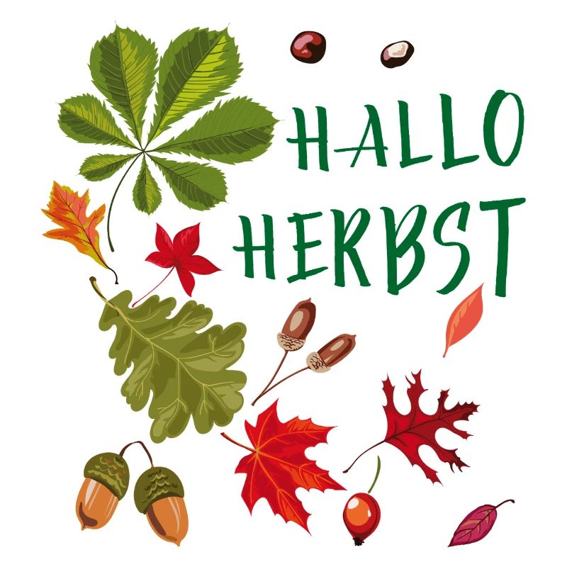 Hallo Herbst Herbstliche Blätter und Eicheln 