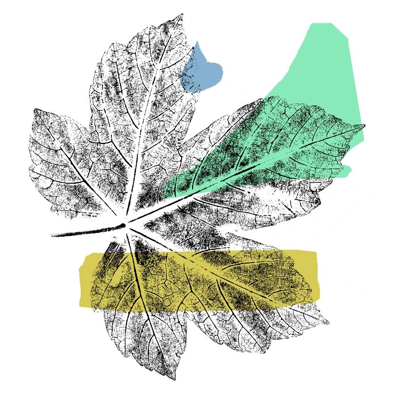 Feuille d’érable - Abstrake Art