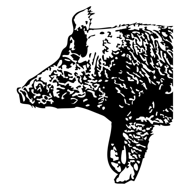 Wild Boar