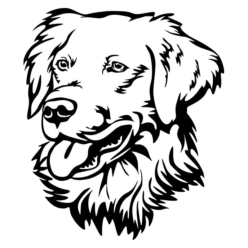 Golden Retriever Kopf