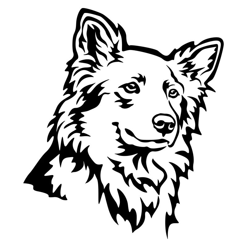 Harzer Fuchs Kopf