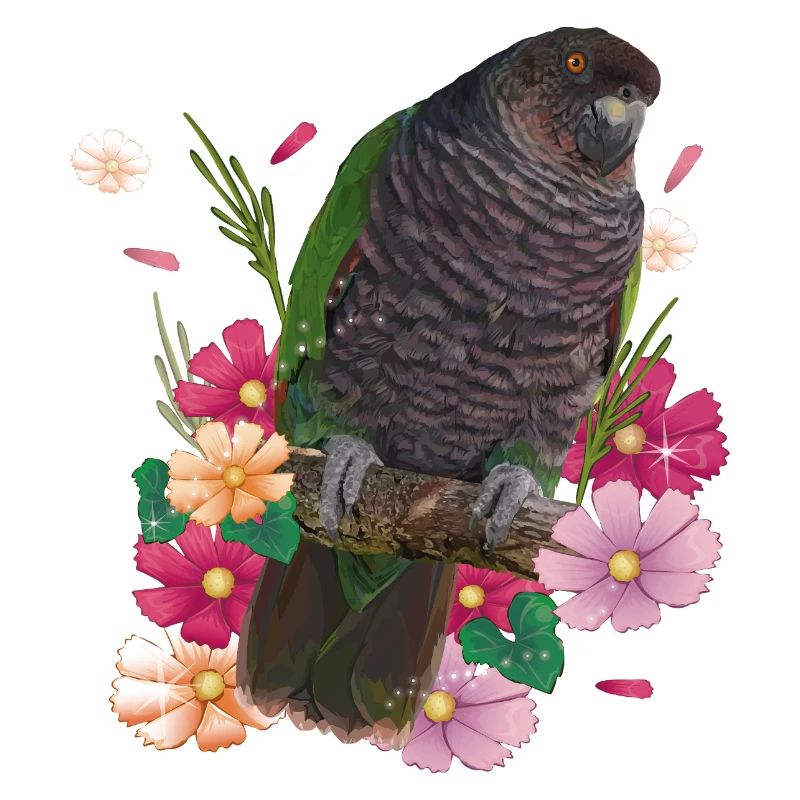 Le perroquet impérial