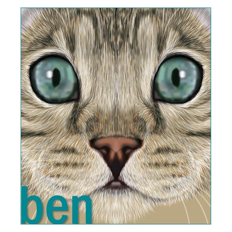 Bengalkatze 