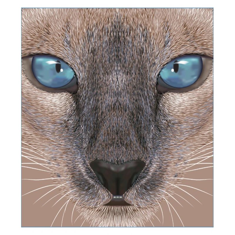 Siamkatze