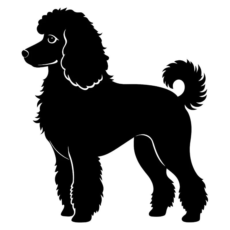 Chien caniche