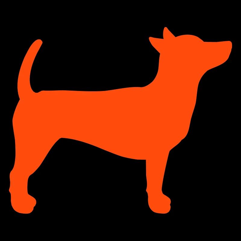 Le chien se tient debout L’obéissance se tient immobile silhouette