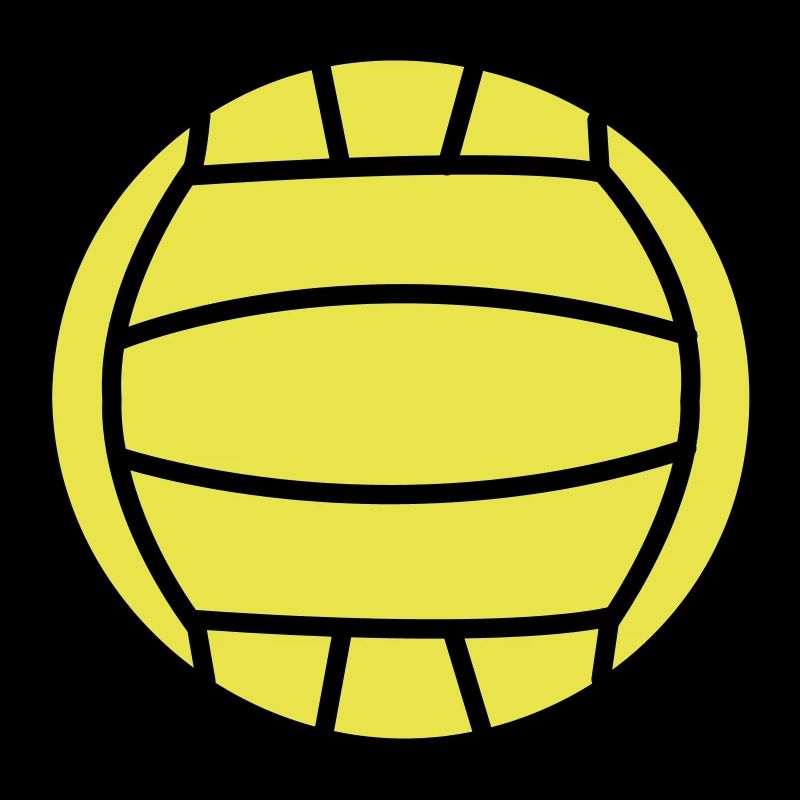 2541614 15552611 volley