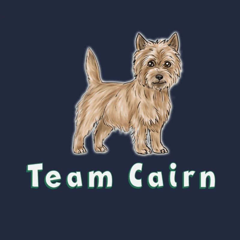 Team Cairn