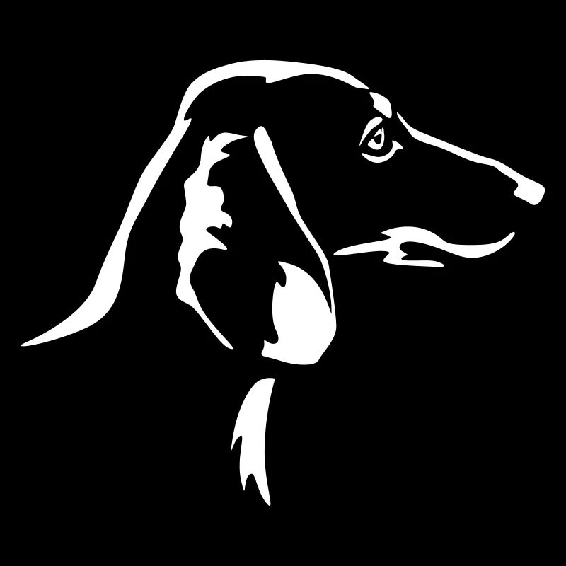 Tête de teckel « Black Edition »