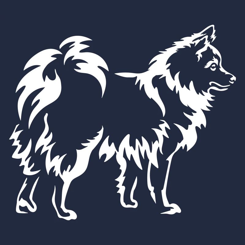 Spitz "Black Edition"