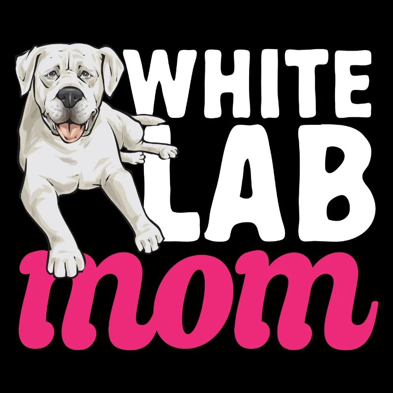 Labrador Retriever blanc Labrador Labrador blanc