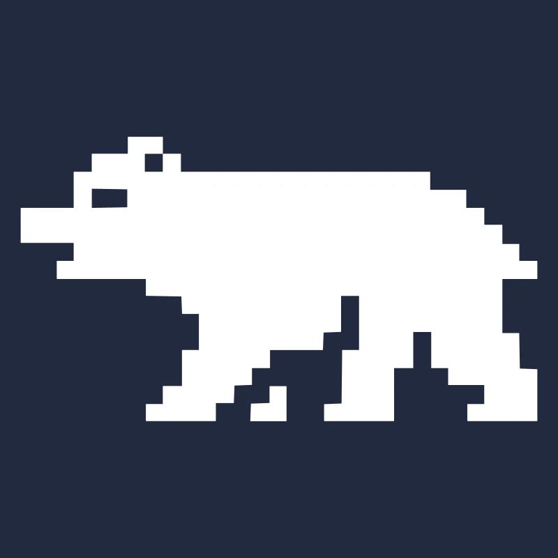 8bit pixel bär