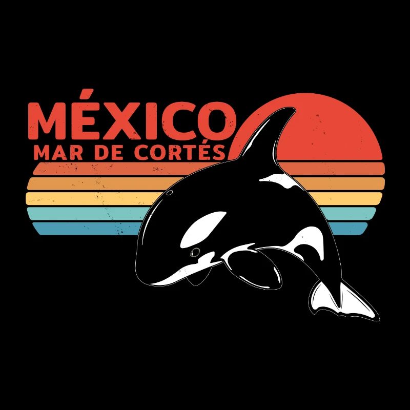 Orca Mar de Cortés Mexiko