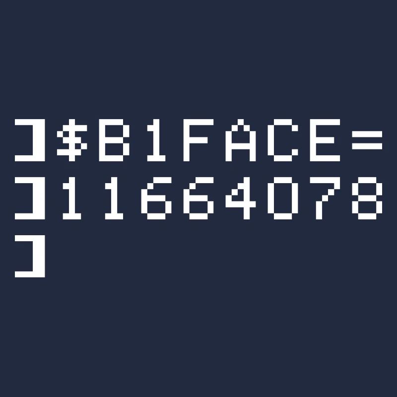 B1FACE Biface Code hexadécimal 8 bits Geek