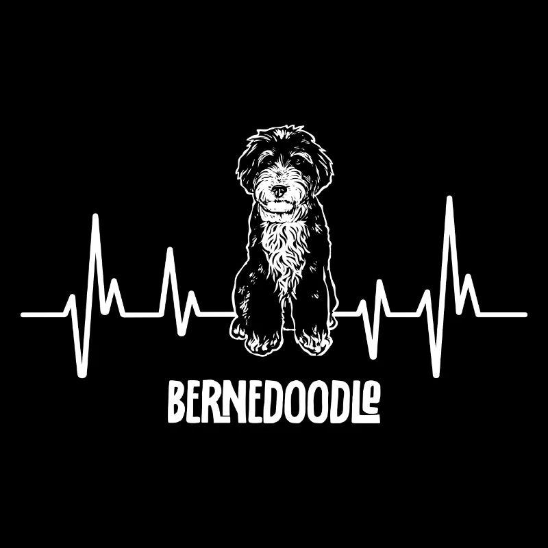Bernedoodle Hund