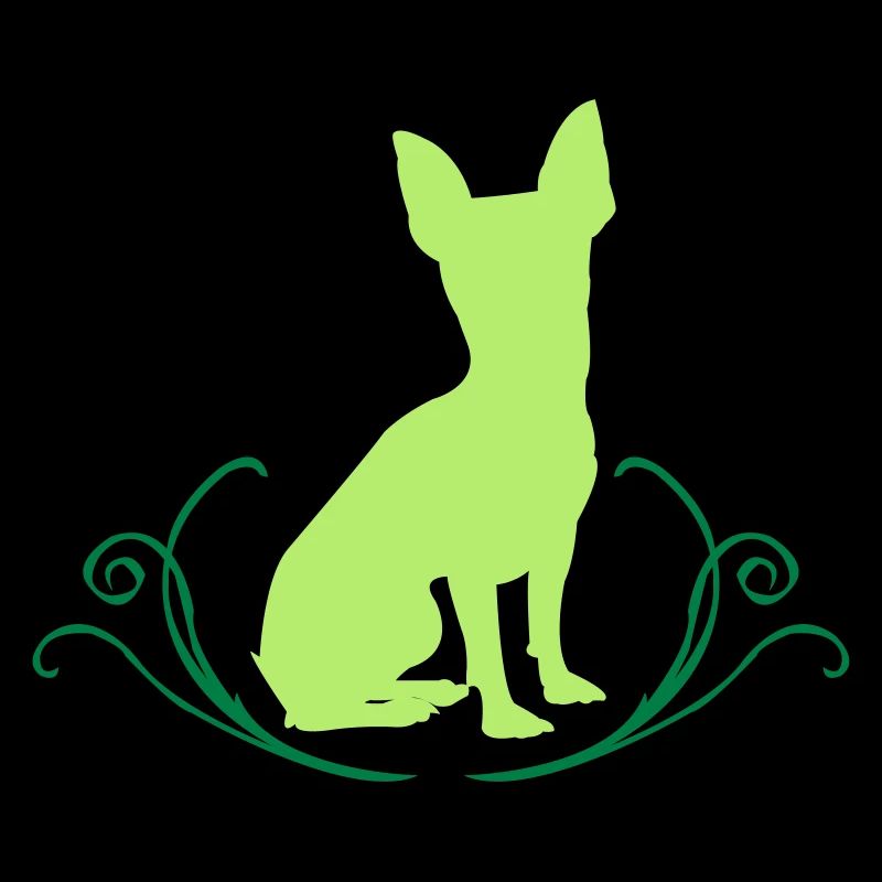 Kurzhaar Chihuahua