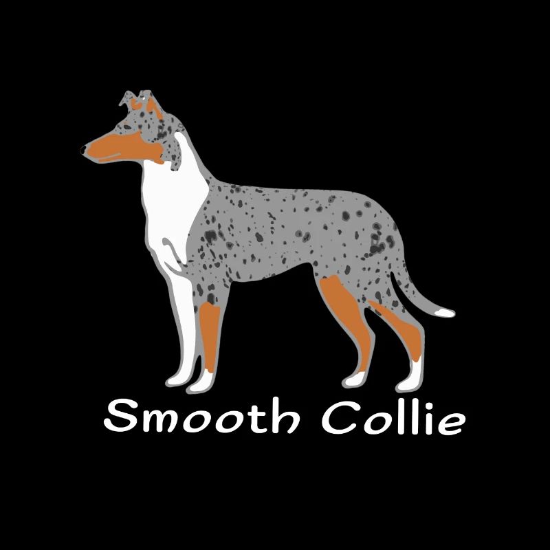 Smooth Collie blue-merle
