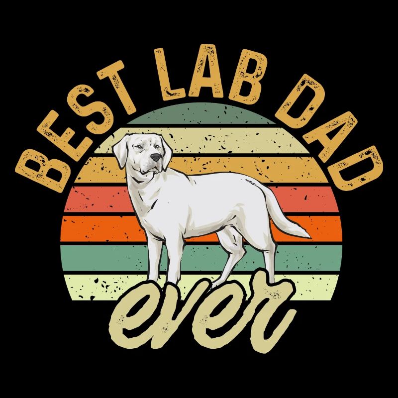 Weißer Labrador Retriever Weißer Lab