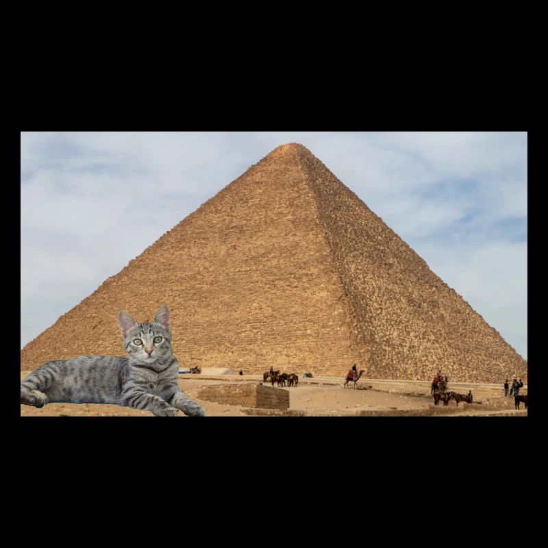 Cat and Pyramid