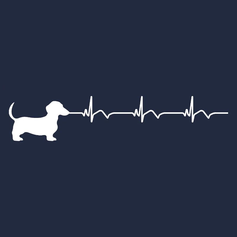 ECG teckel Battement de cœur