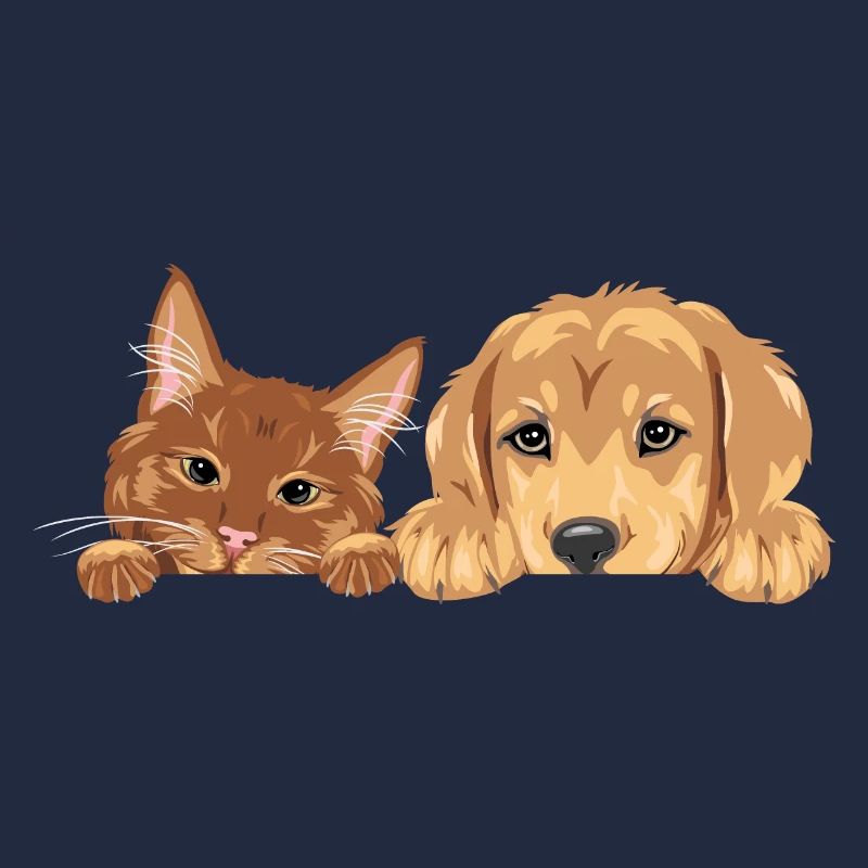Chat roux et chien chiot Golden Retriever