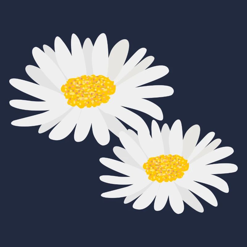 Marguerites de fleurs