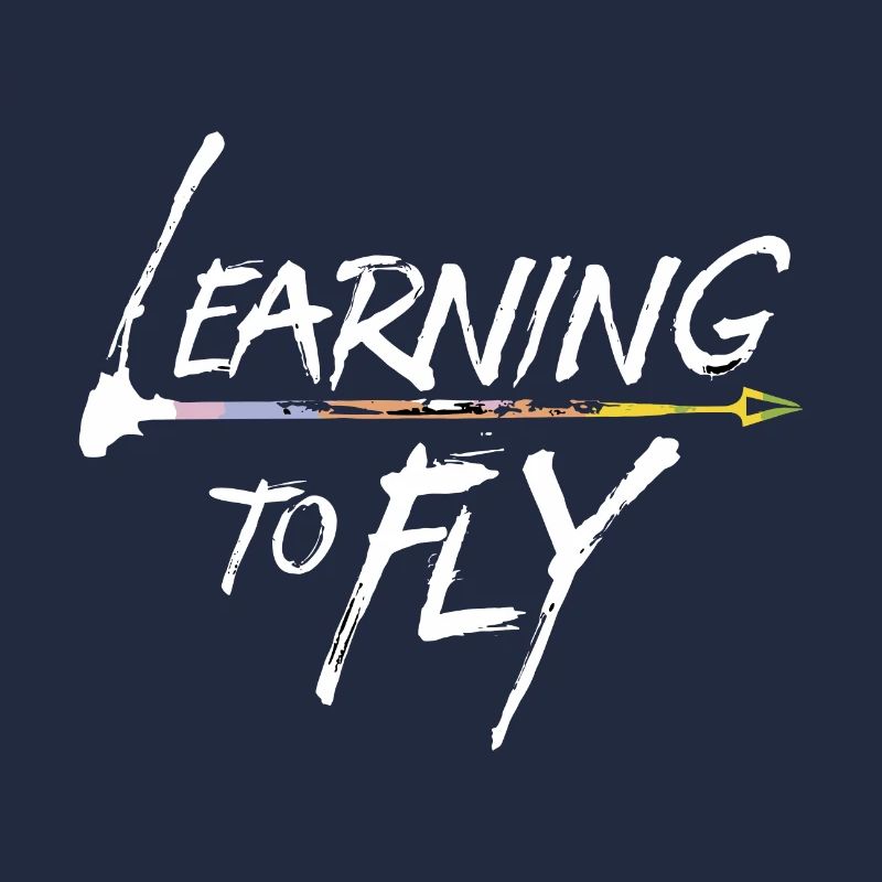 Learning to fly Fliegen Flugzeug Pilot Flieger