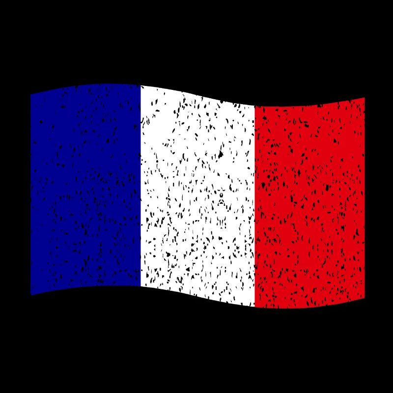 drapeau français vintage