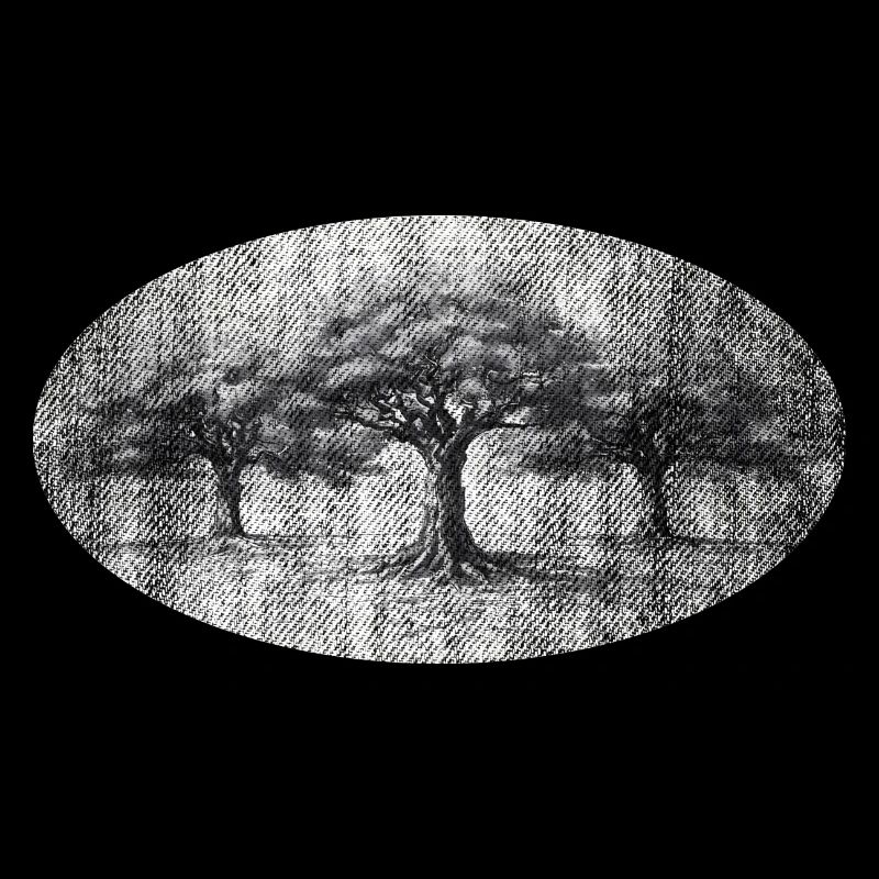 Alte Bäume Baum Weisheit retro