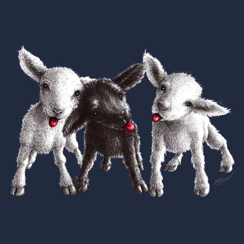 mouton effronté