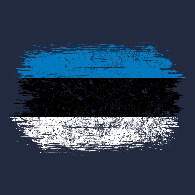 Drapeau à coups de pinceau bleu-blanc