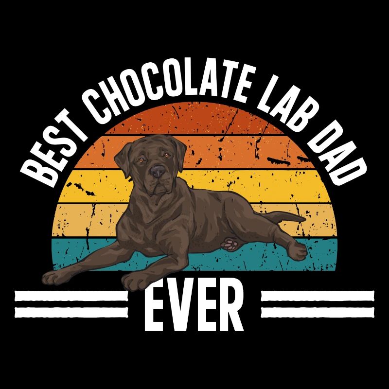 Schoko Brauner Labrador Retriever Hund