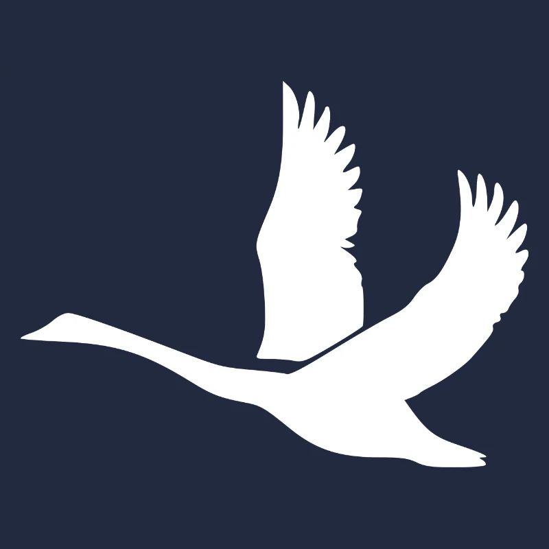 Schwan mit gewaltigen Schwingen