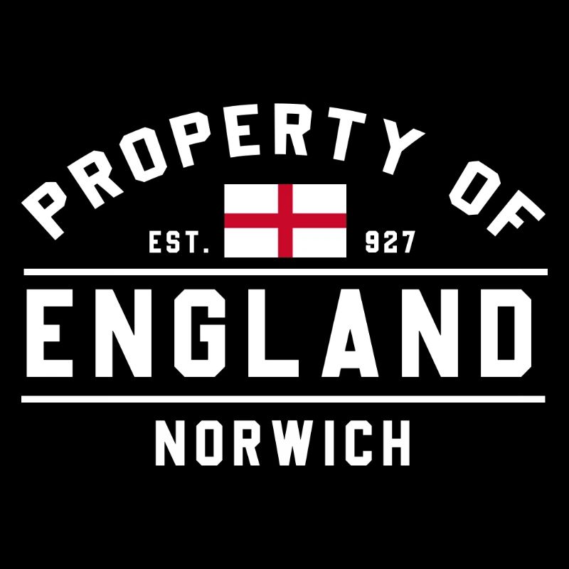 Angleterre Norwich Flag Est.1827