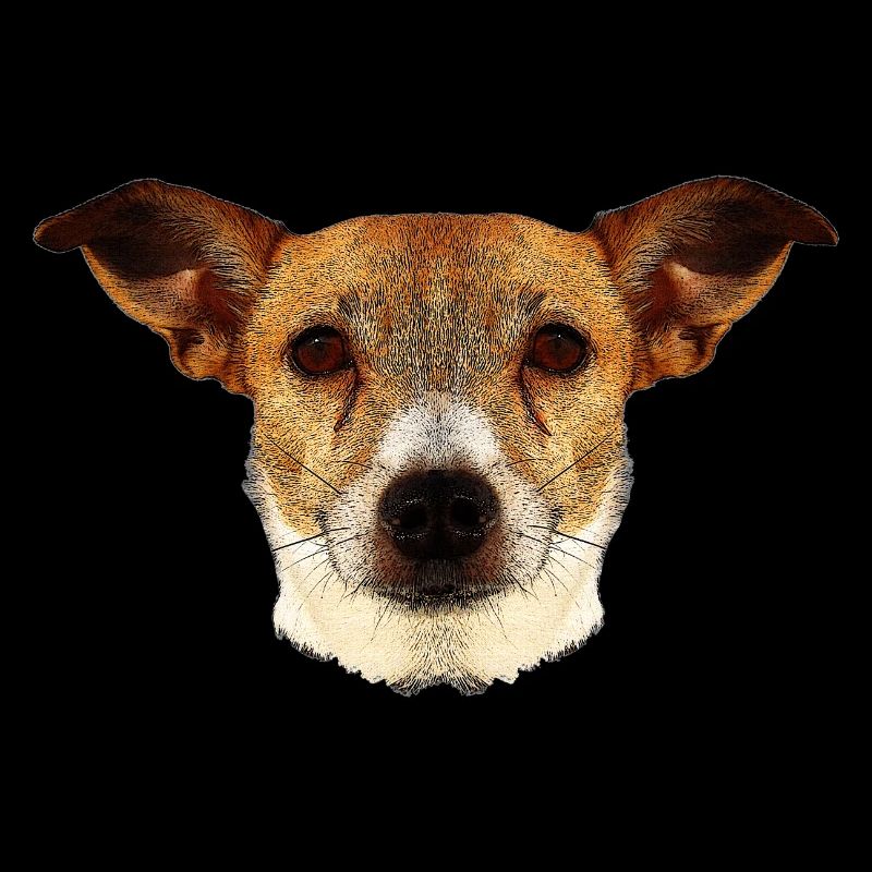 tolle geschenkideen, Jack russel terrier gesicht