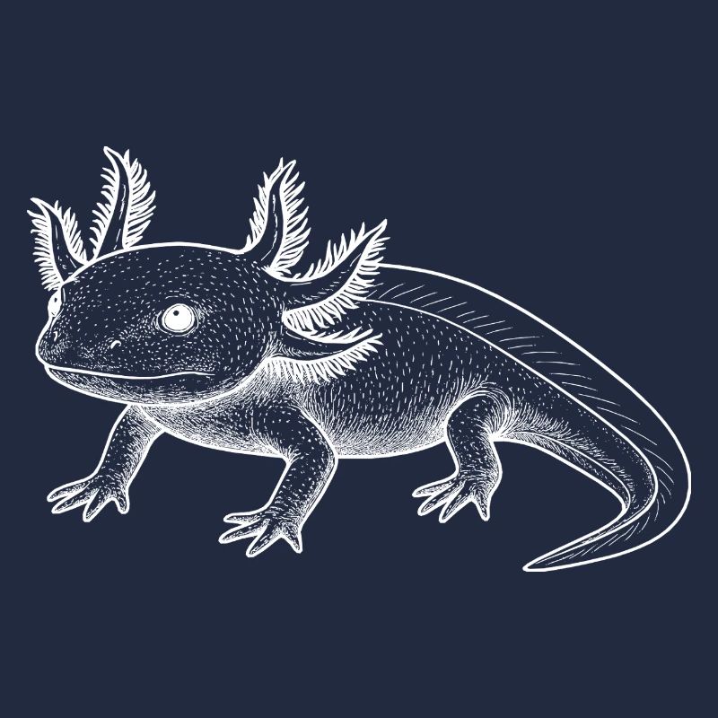 Axolotl Line Style – White